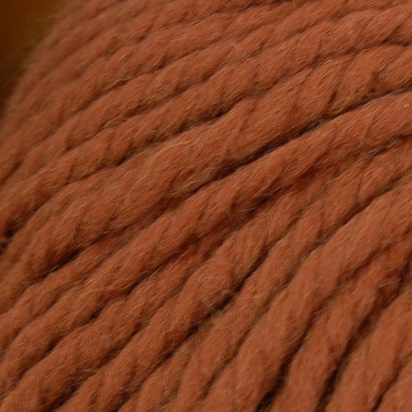 Rowan Big Wool 041 Acer